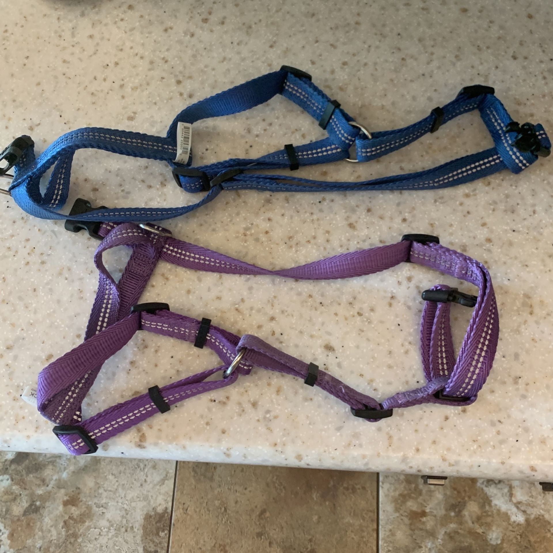 Dog Harness