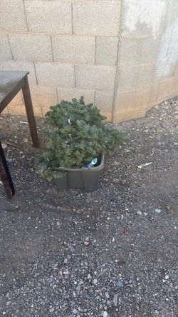 Christmas Tree
