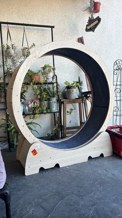 Cat wheel