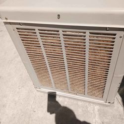Swamp Cooler ,3000 CFM 