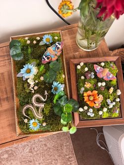 Custom moss art pieces