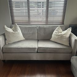 Light Grey Couch - MUST GO