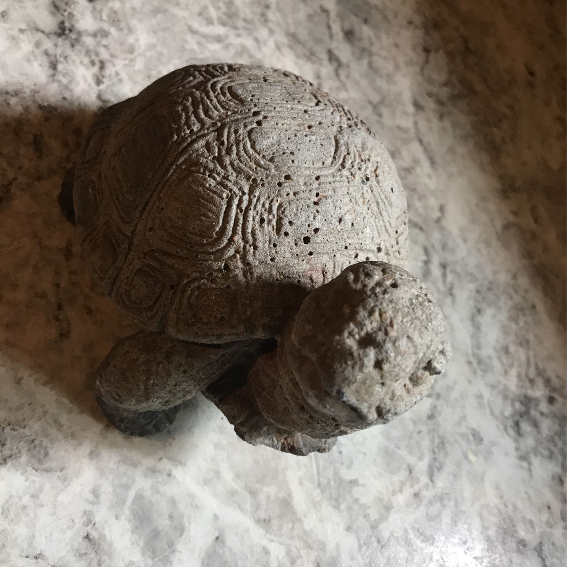 Stone Turtle