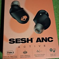 Skullcandy Bluetooth Earbuds.