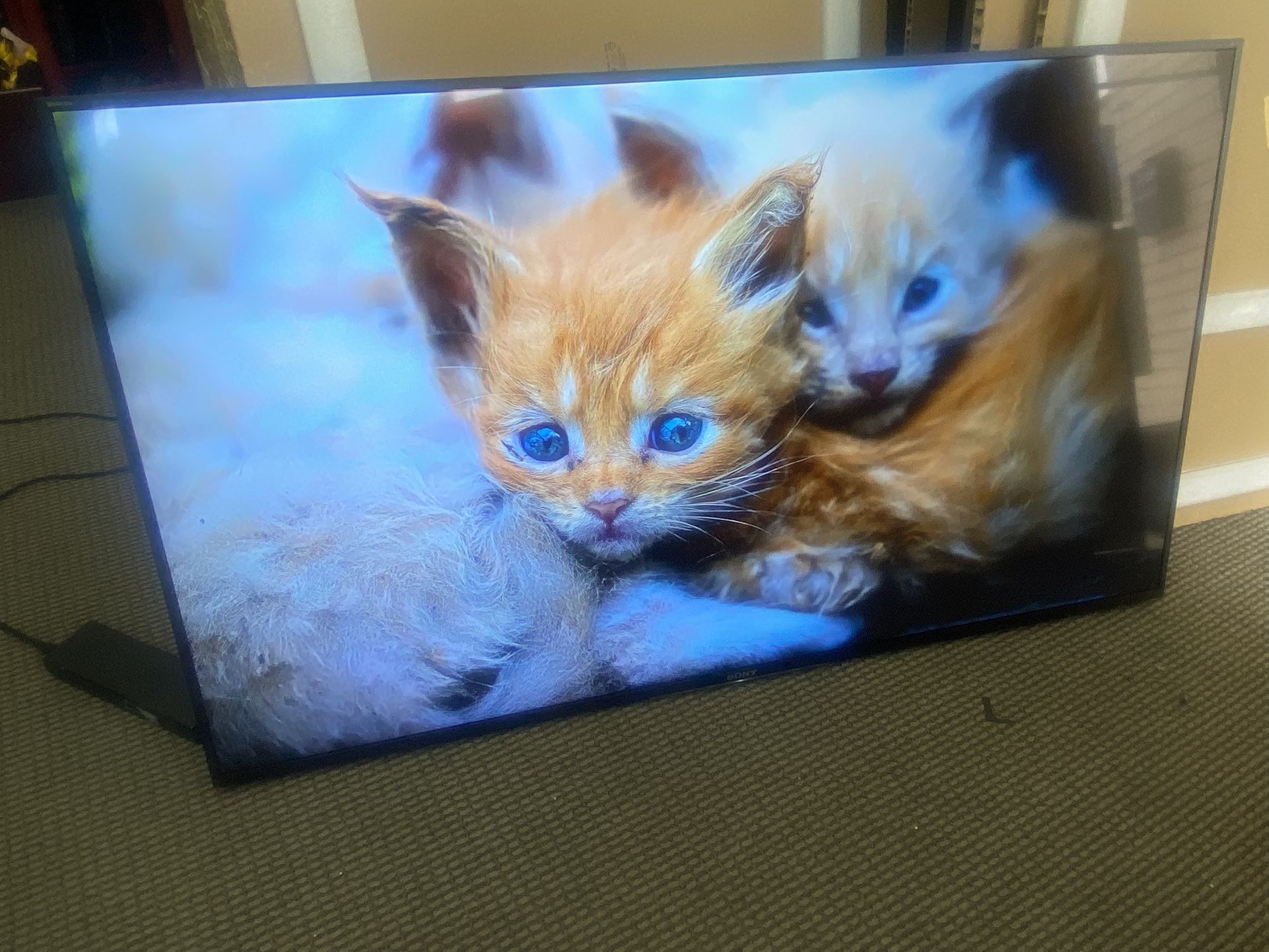 Sony 55-Inch 4K Ultra HD Smart TV