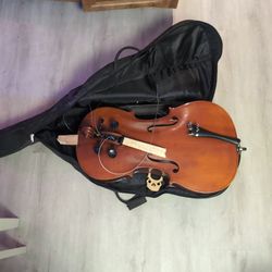 Broken Cello With Soft Case