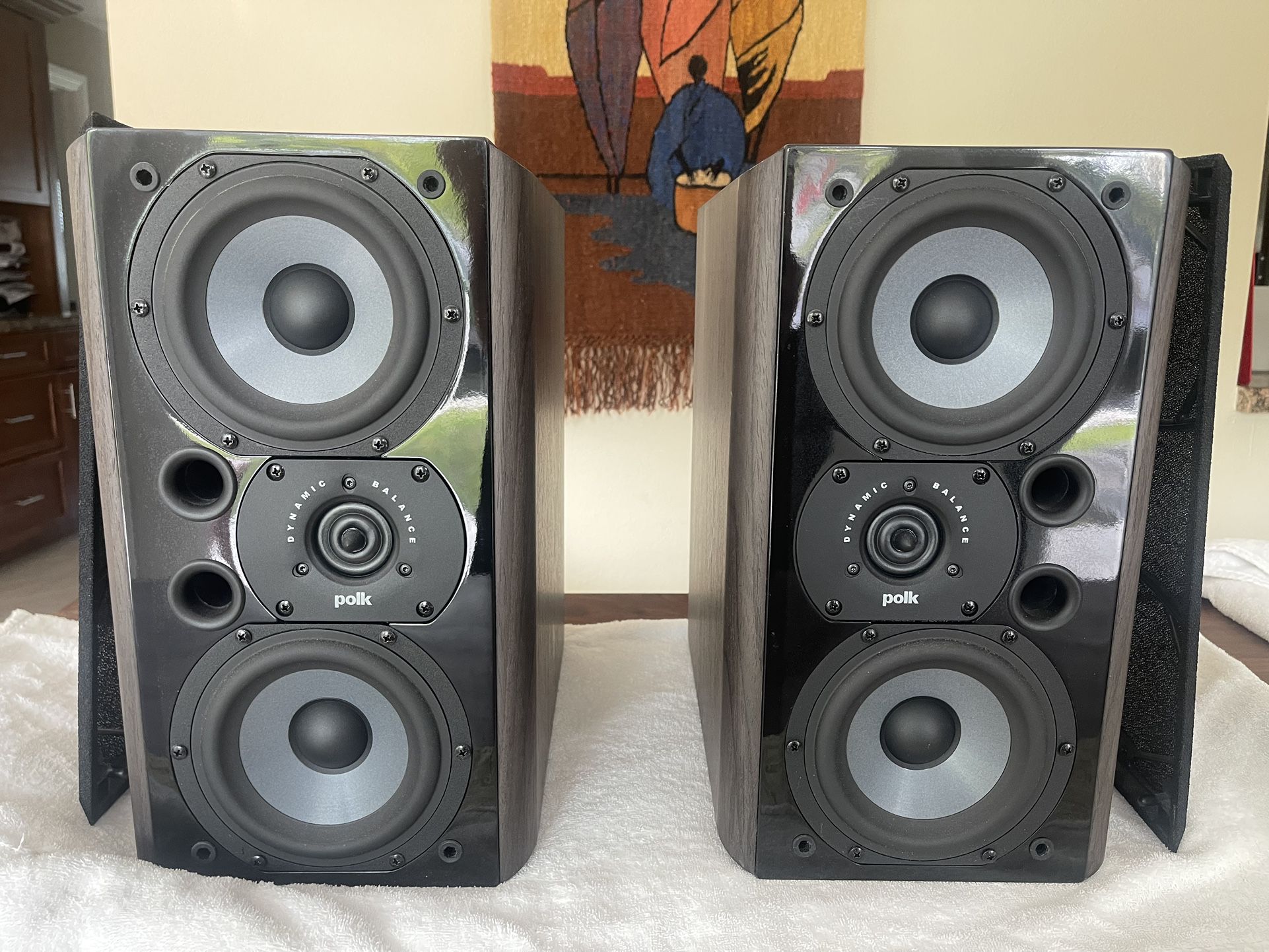 Polk Speakers Audiophile LSI9 