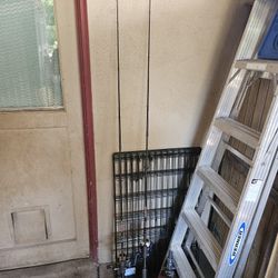 Spinning Rods 