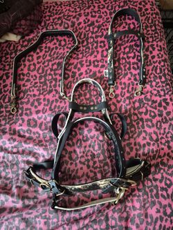 Service Dog Gear