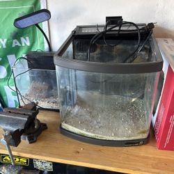 Fish Tanks 