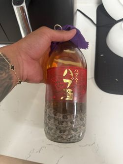 Habu snake bottle antique
