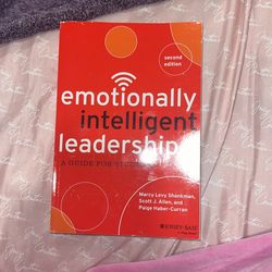 Emotionally Intelligent Leadership 