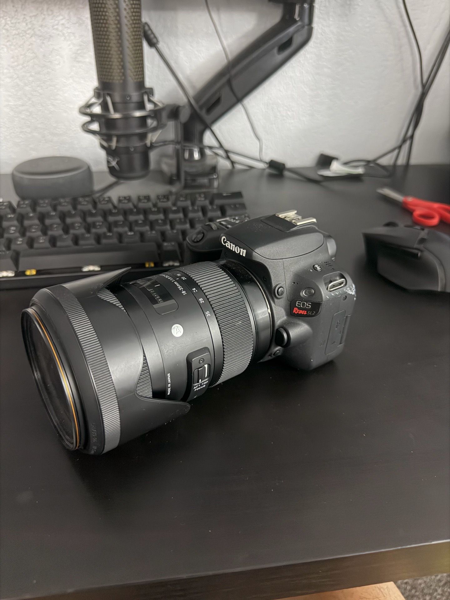 Canon sl2 w/ sigma 18-35mm 1.8f