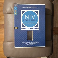 NIV STUDY BIBLE. 