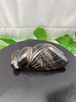 Crystal Obsidian Cicada Bug