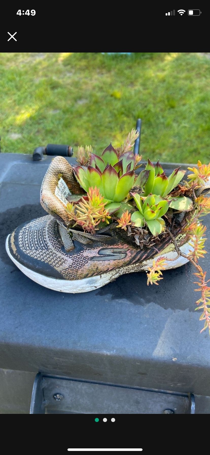 Skechers Shoe Succulent Planter