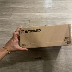 Hayward 