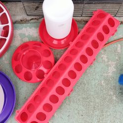 Chicken Feeders