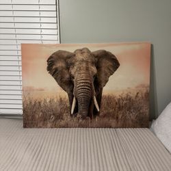 Elephant Wall Decor 