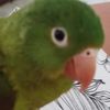 I