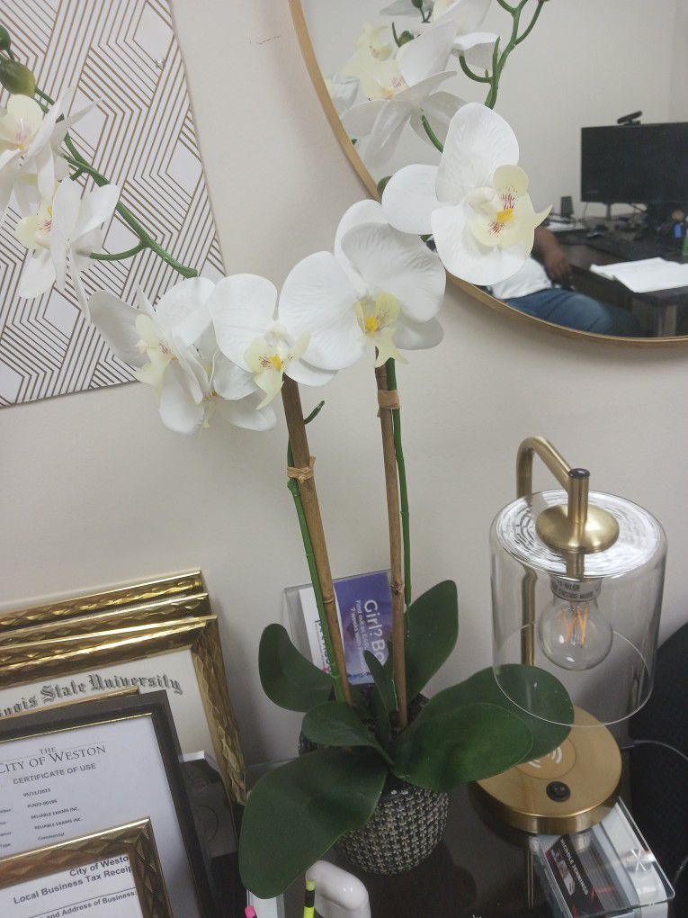 Gold Desk Lamp & Orchid 