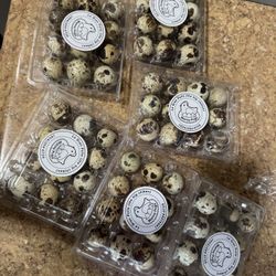 Fresh Quail Eggs
