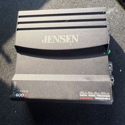 Jensen Amp 