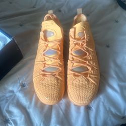 Nike Lebron’s Size 9.5