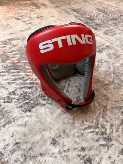 Sting boxing headgear
