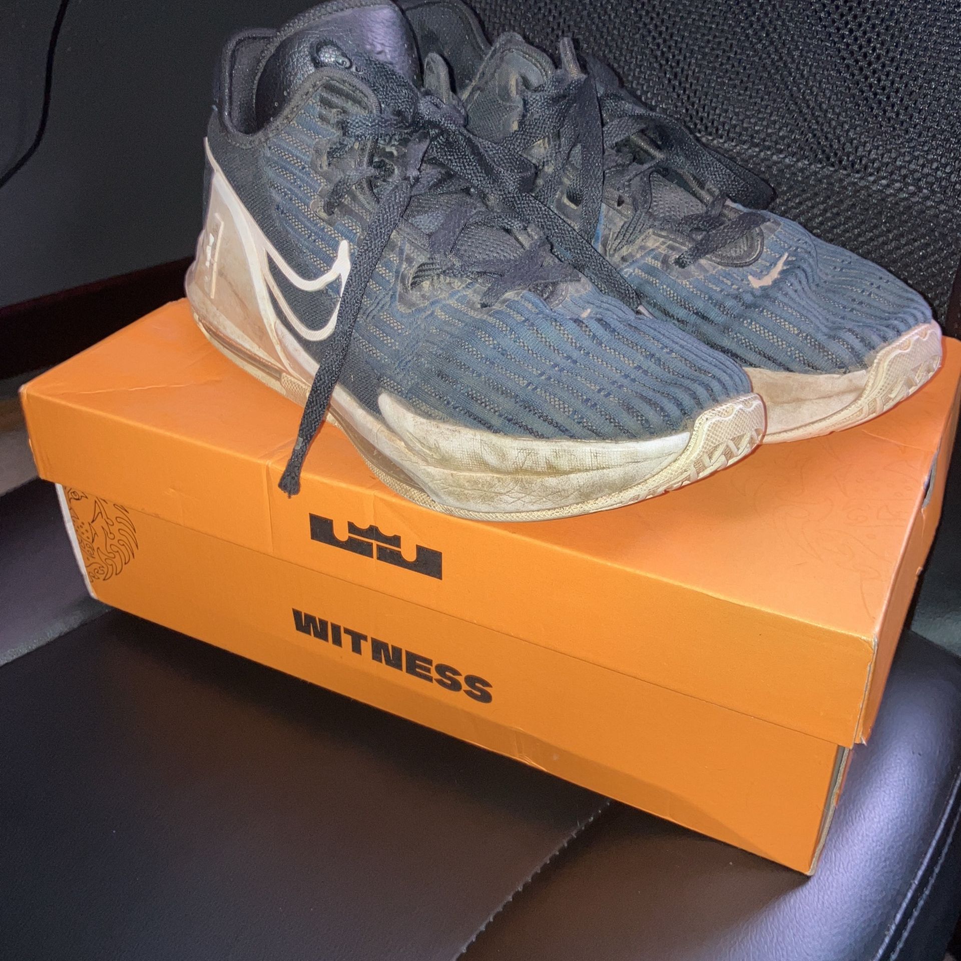 LeBron Witness VI