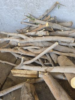 Wood for Bird, Lizard, Geico, Snake etc.