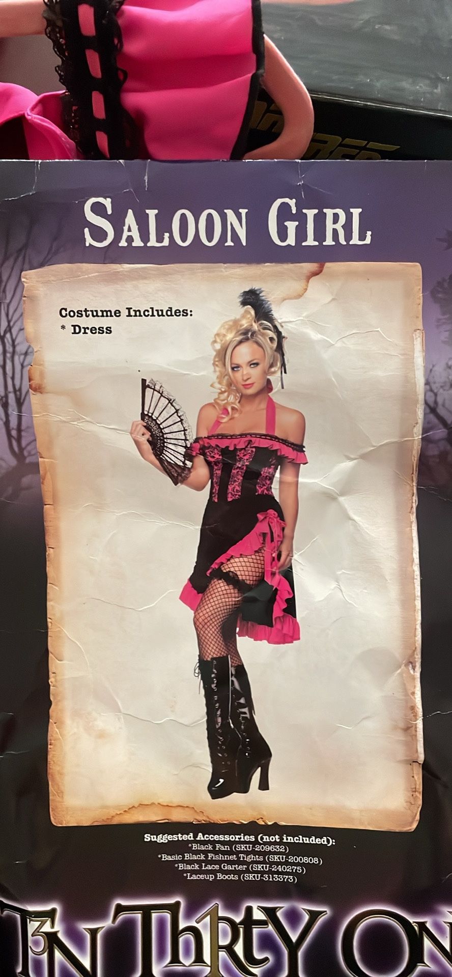 Saloon Girl Costume