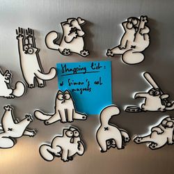 Funny Cat Magnets 10 Pack