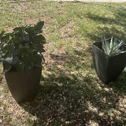 Set Planteros plants included