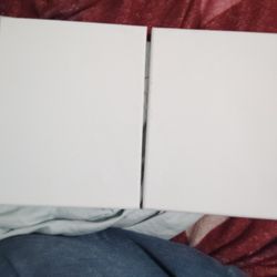 Two blank, white, 8x10 canvases.