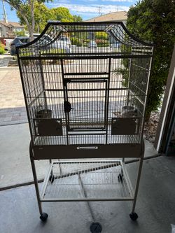 Bird Cage