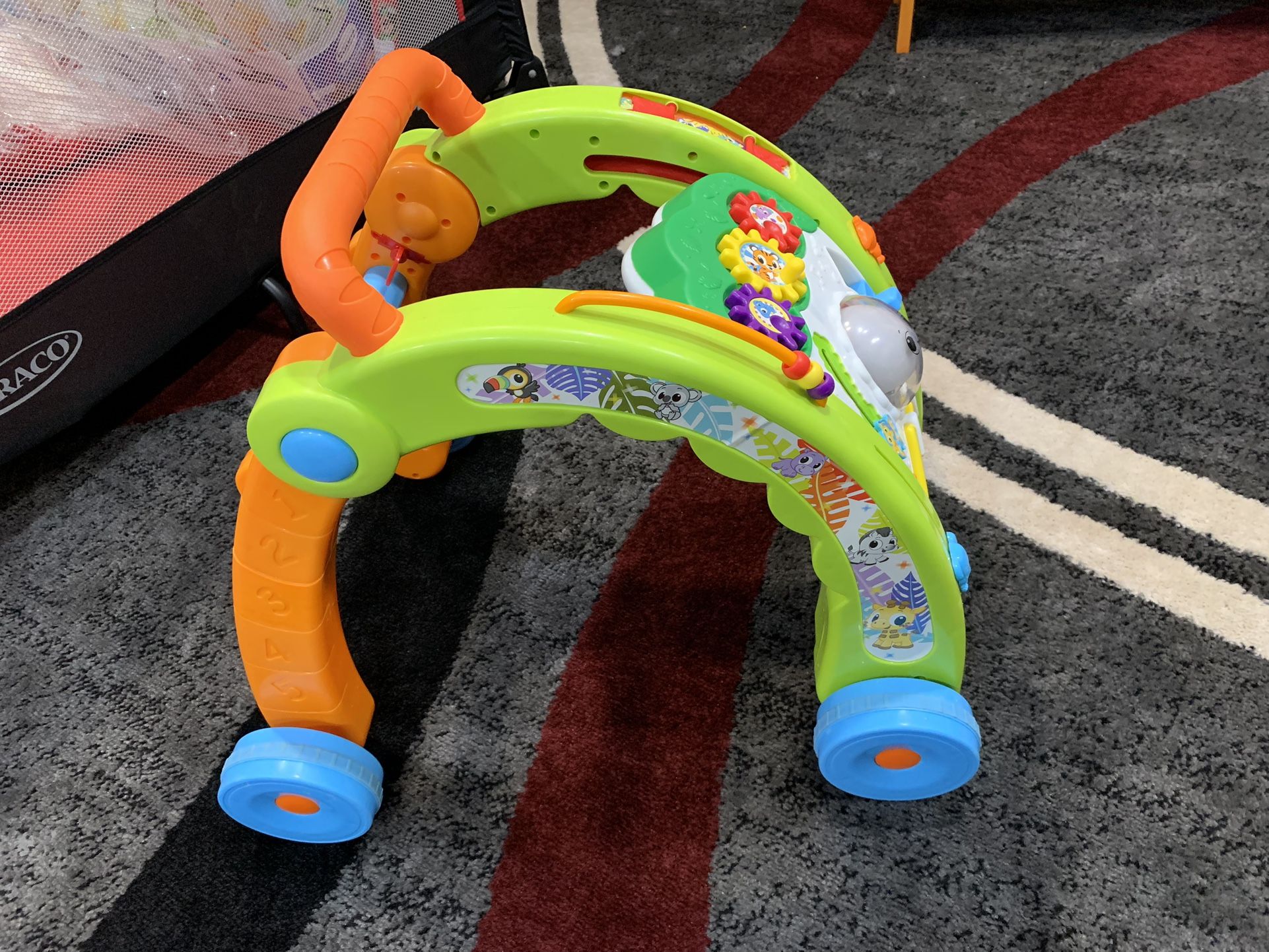 Walking Activity Toy
