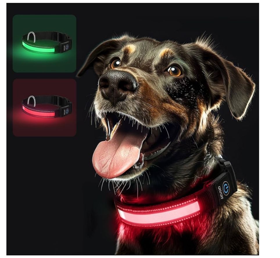 Light Up Dog Collar 