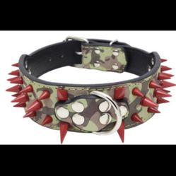 Dog Collars