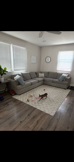 Couches