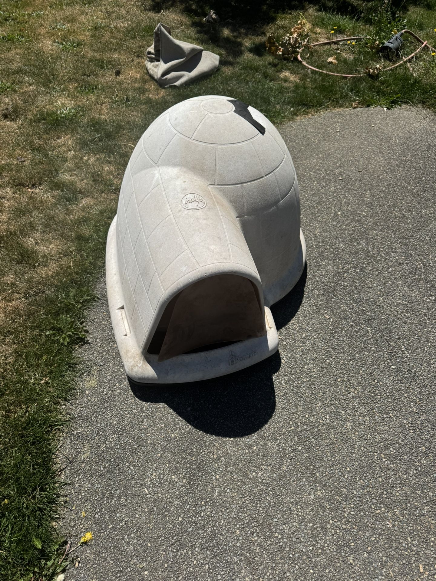 Dog Igloo