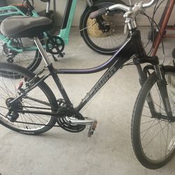 7 Speed Schwinn Bike