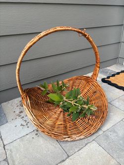 Basket