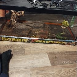 Reptile Habitat 