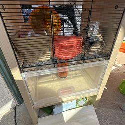 Hamster Cage 
