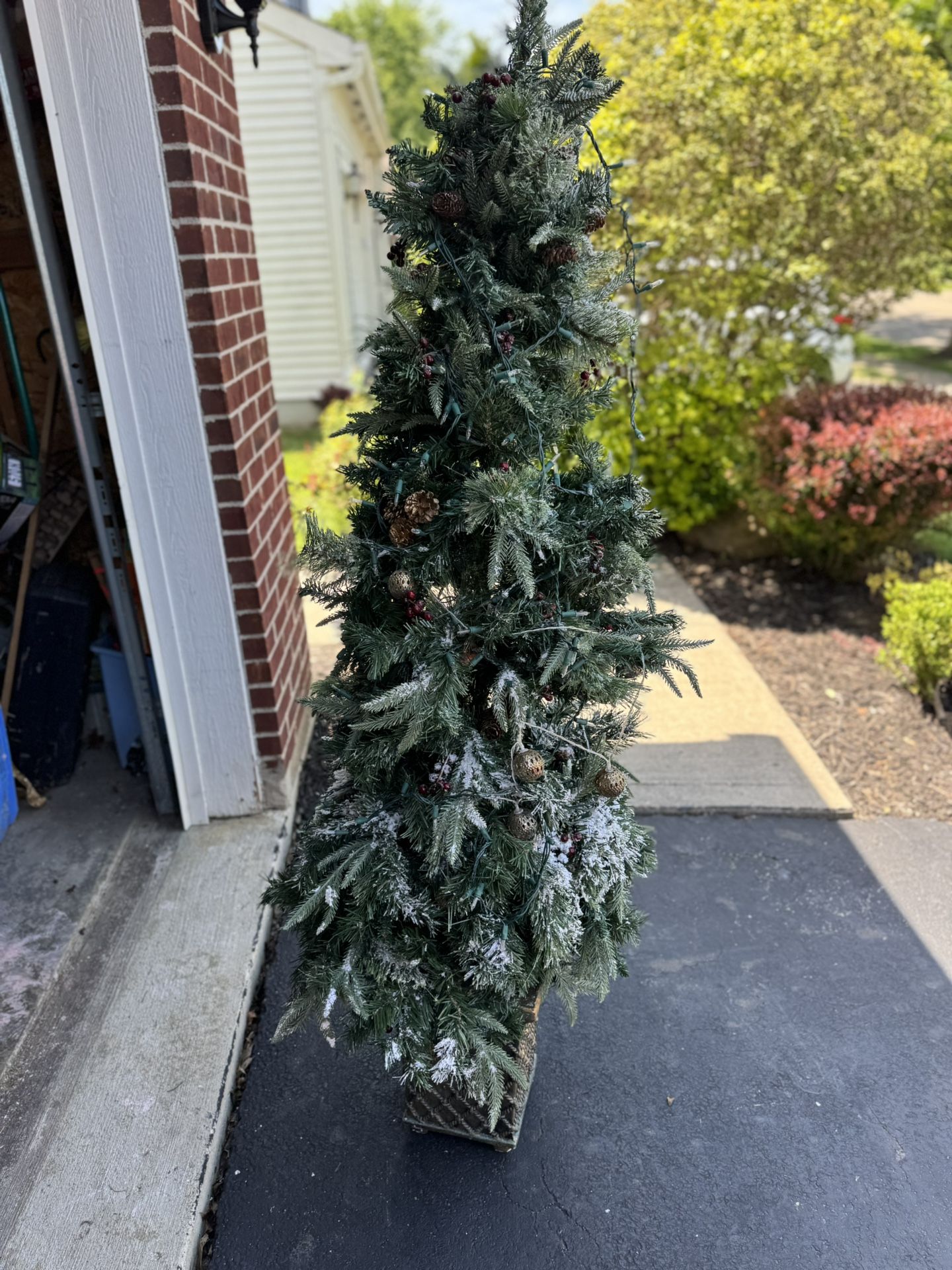 Christmas Tree