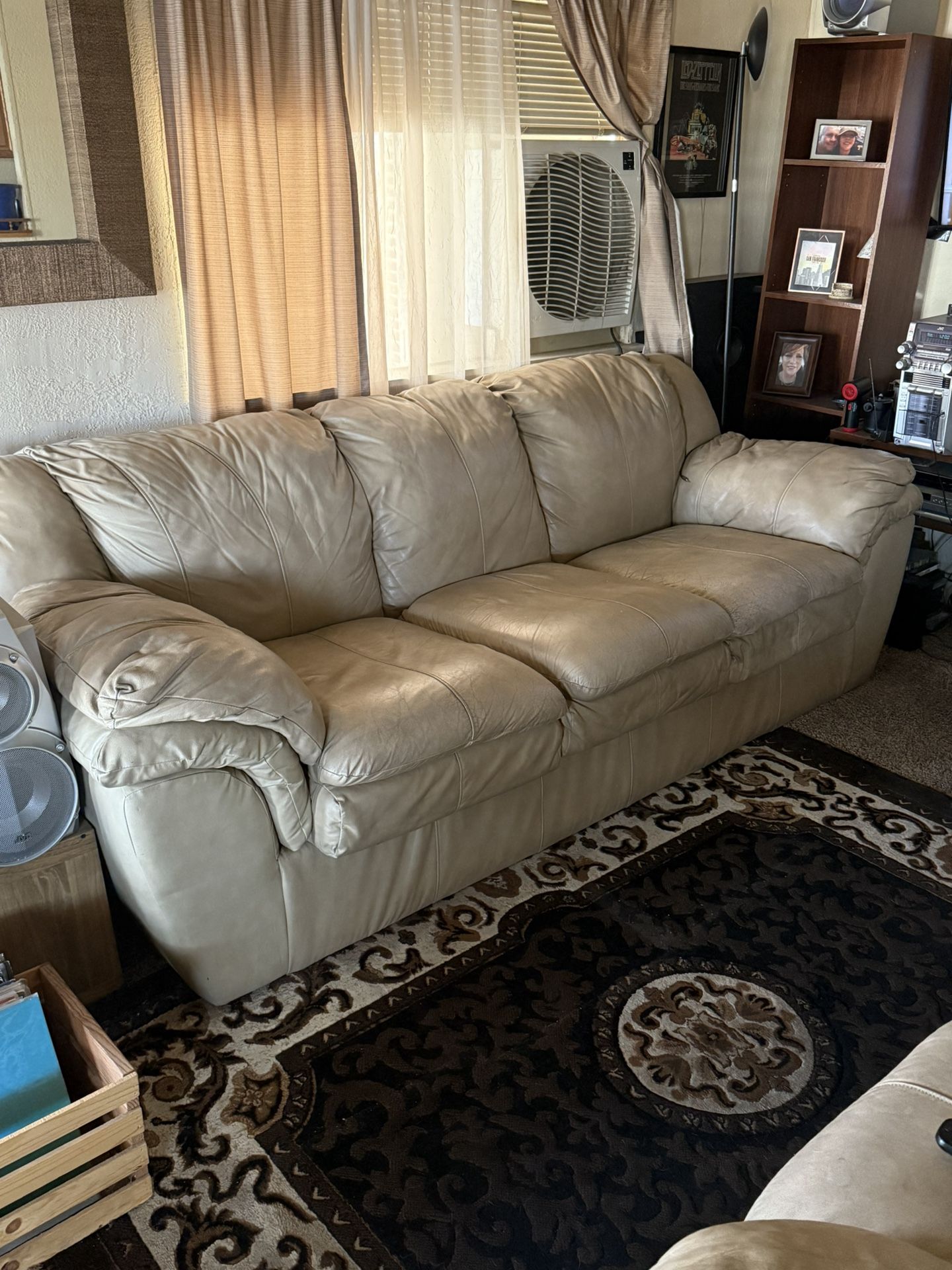 Two Leather Couches