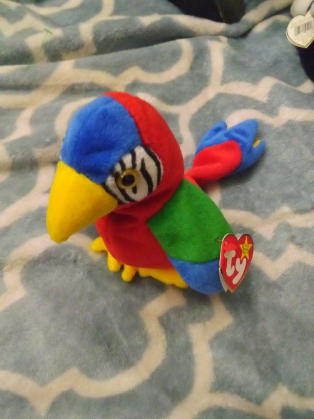 "Jabber" the Rare ty Parrot.