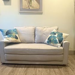 Sleeper Loveseat Sofa