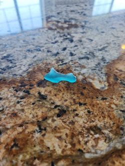 Bob the deformed gummy shark